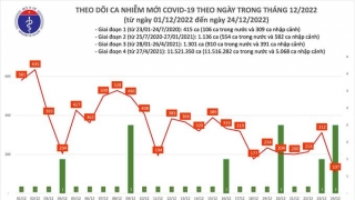 Tối 24/12: Ghi nhận 107 ca mắc COVID-19, có 71 bệnh nhân khỏi bệnh