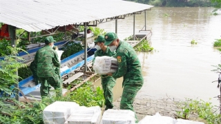 Đồng Tháp: Liên tục bắt giữ các vụ buôn lậu thuốc lá