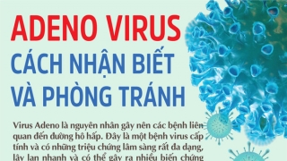 Hướng dẫn chẩn đoán điều trị, phòng và kiểm soát lây nhiễm bệnh do virus Adeno