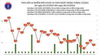 Tối 28/12: Ghi nhận 132 ca mắc COVID-19 mới, có 142 bệnh nhân khỏi bệnh