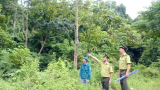 Tăng cường phòng, chống tội phạm về đa dạng sinh học đến năm 2030, tầm nhìn đến năm 2050