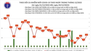 Tối 29/12: Ghi nhận 214 ca mắc COVID-19 mới, có 55 bệnh nhân khỏi bệnh