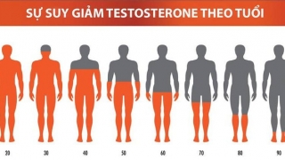 Suy giảm Testosterone ảnh hưởng đến các hoạt động của nam giới