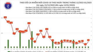 Tối 12/1: Số bệnh nhân được công bố khỏi bệnh trong ngày là 78 ca