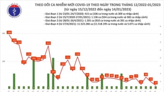 Tối ngày 14/1: Ghi nhận 29 ca mắc COVID-19 mới, có 40 bệnh nhân khỏi bệnh