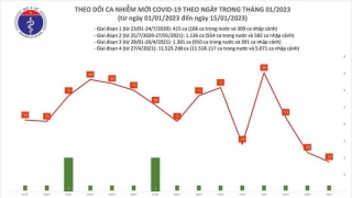 Tối ngày 15/1: Ghi nhận 22 ca mắc COVID-19 mới, có 16 bệnh nhân khỏi bệnh