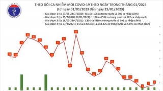 Tối 25/1: Ghi nhận 9 ca mắc COVID-19, có 1 bệnh nhân khỏi bệnh