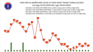 Tối 29/1: Ghi nhận 13 ca mắc COVID-19, có 6 bệnh nhân khỏi bệnh