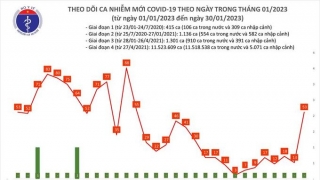 Tối 30/1: Ghi nhận 53 ca mắc COVID-19 mới, có 3 bệnh nhân khỏi bệnh