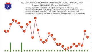 Tối 31/1: Ghi nhận 36 ca mắc COVID-19, có 15 bệnh nhân khỏi bệnh