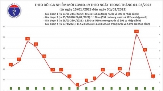 Tối 1/2: Ghi nhận 11 ca mắc mới COVID-19, có 17 bệnh nhân khỏi bệnh