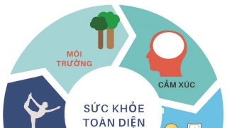 Sức khỏe và các yếu tố quyết định sức khỏe cộng đồng