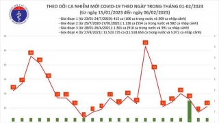 Tối 6/2: Ghi nhận 11 ca mắc COVID-19 mới, có 5 bệnh nhân khỏi bệnh