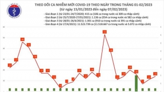 Tối 7/2: Ghi nhận 14 ca mắc COVID-19 mới, có 2 bệnh nhân khỏi bệnh