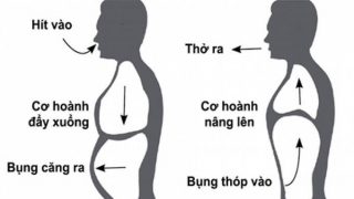 3 bài tập để ngăn ngừa tình trạng phổi tắc nghẽn, suy giảm chức năng hô hấp