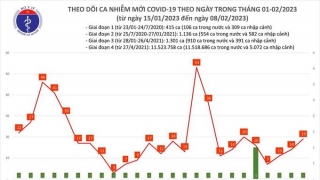 Tối 8/2: Ghi nhận 19 ca mắc COVID-19 mới, có 5 bệnh nhân khỏi bệnh