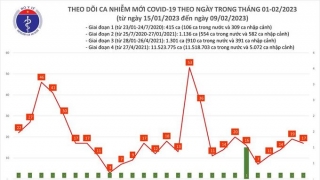 Tối 9/2: Ghi nhận 17 ca mắc COVID-19 mới, có 46 bệnh nhân khỏi bệnh