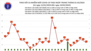 Tối 10/2: Ghi nhận 13 ca mắc COVID-19 mới, có 10 bệnh nhân khỏi bệnh