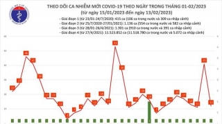 Tối 13/2: Ghi nhận 12 ca mắc COVID-19 mới, có 8 bệnh nhân khỏi bệnh