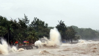 Các tỉnh, thành phố ven biển từ Quảng Ninh đến Kiên Giang chủ động ứng phó với gió mạnh trên biển