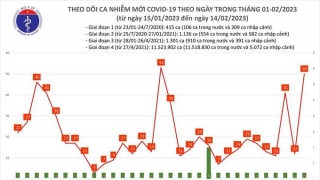 Tối 14/2: Ghi nhận 50 ca mắc COVID-19 mới, có 31 bệnh nhân khỏi bệnh