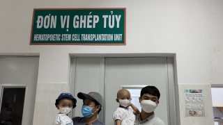 TP. HCM triển khai ghép tế bào gốc tạo máu, điều trị cho bệnh nhi u nguyên bào thần kinh