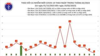 Tối 19/2: Ghi nhận 4 ca mắc COVID-19 mới, có 1 bệnh nhân khỏi bệnh