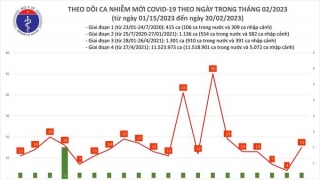 Tối 20/2: Ghi nhận 15 ca mắc COVID-19 mới