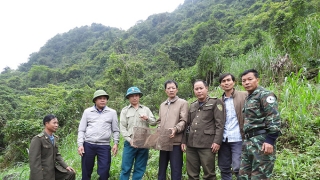 Quảng Bình thả nhiều cá thể động vật về môi trường tự nhiên