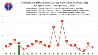 Tối 21/2: Ghi nhận 9 ca mắc COVID-19 mới, có 6 bệnh nhân khỏi bệnh