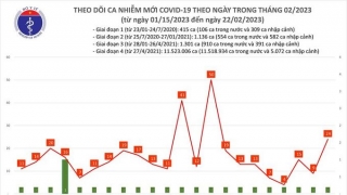 Tối 22/2: Ghi nhận 24 ca mắc COVID-19 mới, có 7 bệnh nhân khỏi bệnh