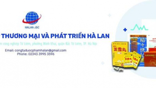 Xử phạt vi phạm hành chính Công ty cổ phần thương mại và phát triển Hà Lan với mức 100 triệu đồng