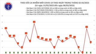 Tối 8/3: Ghi nhận 8 ca mắc COVID-19 mới, có 5 bệnh nhân khỏi bệnh