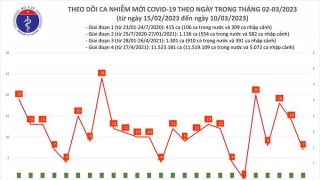 Tối 11/3: Ghi nhận 7 ca mắc COVID-19 mới, có 2 bệnh nhân khỏi bệnh