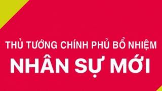 Thủ tướng Chính phủ Phạm Minh Chính bổ nhiệm một số nhân sự mới