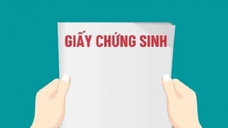 Hà Nội thực hiện liên thông dữ liệu giấy chứng sinh, giấy báo tử lên cổng giám định bảo hiểm y tế