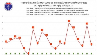 Tối 20/3: Ghi nhận 7 ca mắc COVID-19 mới