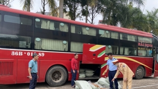 Quảng Ninh phát hiện ô tô vận chuyển gần 500 kg lòng lợn sấy khô bốc mùi hôi thối