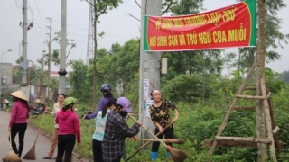 Bắc Giang chủ động, tích cực phòng, chống sốt xuất huyết