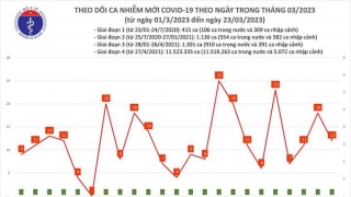 Tối 23/3: Ghi nhận 12 ca mắc COVID-19 mới, có 11 bệnh nhân khỏi bệnh