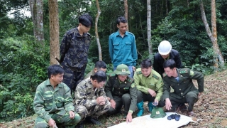 Lào Cai tập trung ứng phó phòng, chống cháy rừng trên địa bàn tỉnh