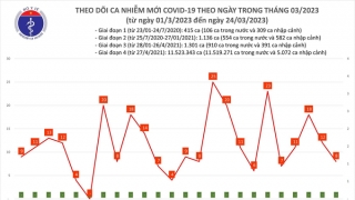 Tối 24/3: Ghi nhận 8 ca mắc COVID-19, có 10 bệnh nhân khỏi bệnh