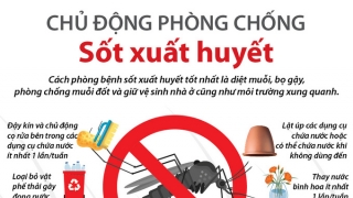 Bình Dương số ca mắc sốt xuất huyết giảm