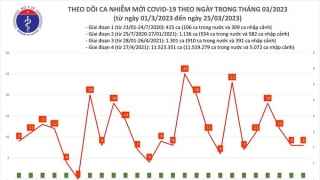 Tối 25/3: Ghi nhận 8 ca mắc COVID-19, có 3 bệnh nhân khỏi bệnh