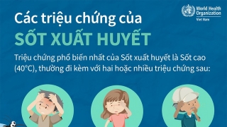 Infographic: WHO hướng dẫn cách chẩn đoán sớm và điều trị sốt xuất huyết kịp thời