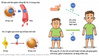 Trẻ như thế nào gọi là béo phì?