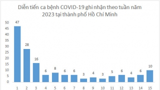 TP. HCM: Tình hình dịch bệnh COVID-19 trong 15 tuần đầu năm 2023