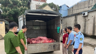 Hưng Yên phát hiện và ngăn chặn kịp thời 230kg thịt lợn bốc mùi hôi thối đang trên đường đi tiêu thụ