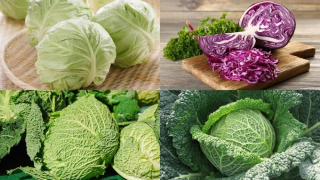 Những loại rau củ chứa hàm lượng selen cao tốt cho người cao tuổi
