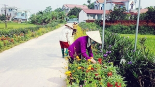 Quảng Ngãi ban hành kế hoạch bảo vệ môi trường, an toàn thực phẩm và cấp nước sạch nông thôn